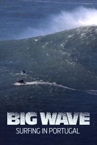 Cover Big wave
